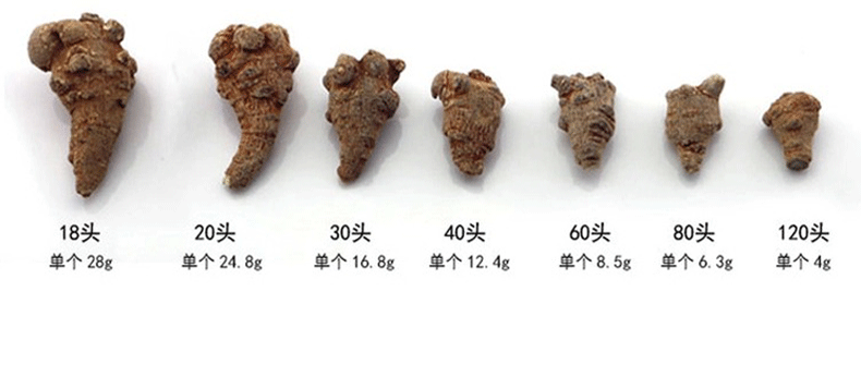 文山三七30头三七田七一斤30个三七20头大量有货水洗不打蜡三七超细粉