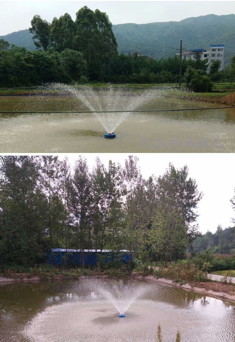 定做池塘鱼塘养殖灌溉两用增氧机抽水机浮水泵3寸4寸增氧泵380v220v