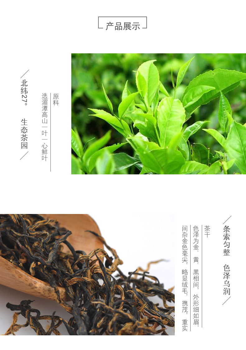 天城香 贵州遵义红茶 2020新茶特级茶叶古树功夫金骏眉蜜香型手工红茶