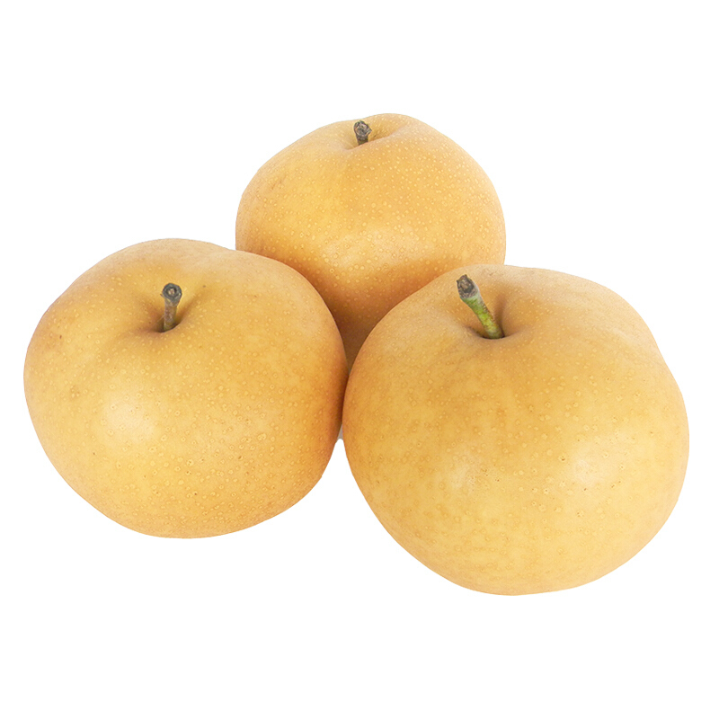 山东特产新鲜水果莱阳丰水梨子5斤4至6个