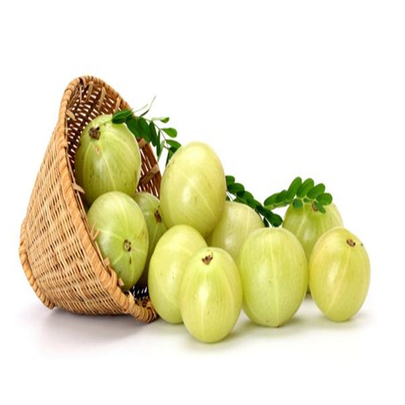 爱时果 现摘潮汕新鲜油甘果 牛甘果余甘果油柑子滇橄榄 1kg