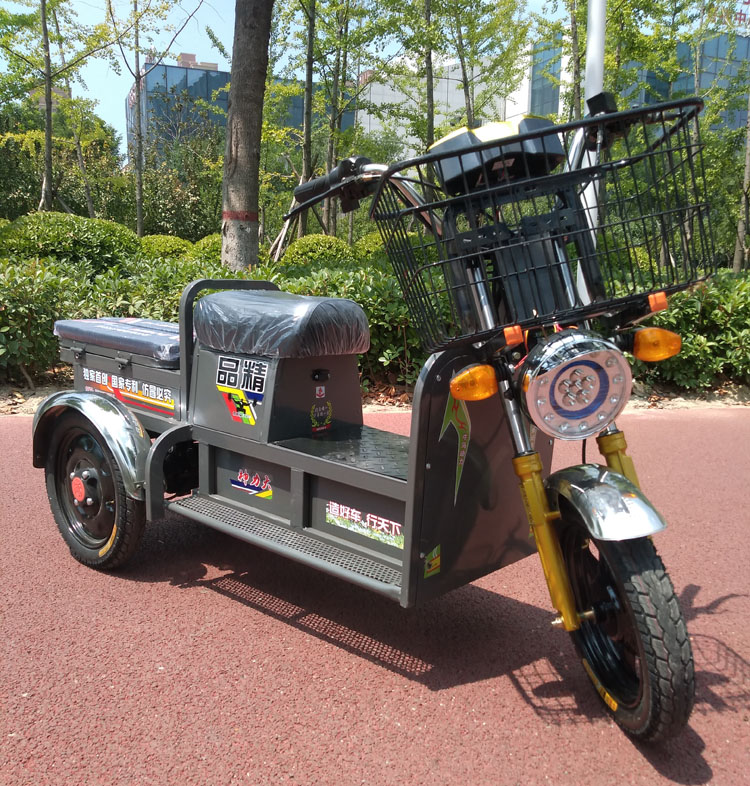 载重王电动三轮车大力神载货长跑王快餐拉客快递代步车家用送货车时尚