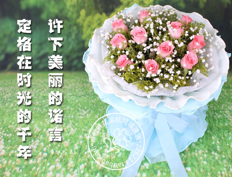 11朵粉玫瑰鲜花速递天津苏州南京温州成都福州郑州合肥天津同城 11朵h