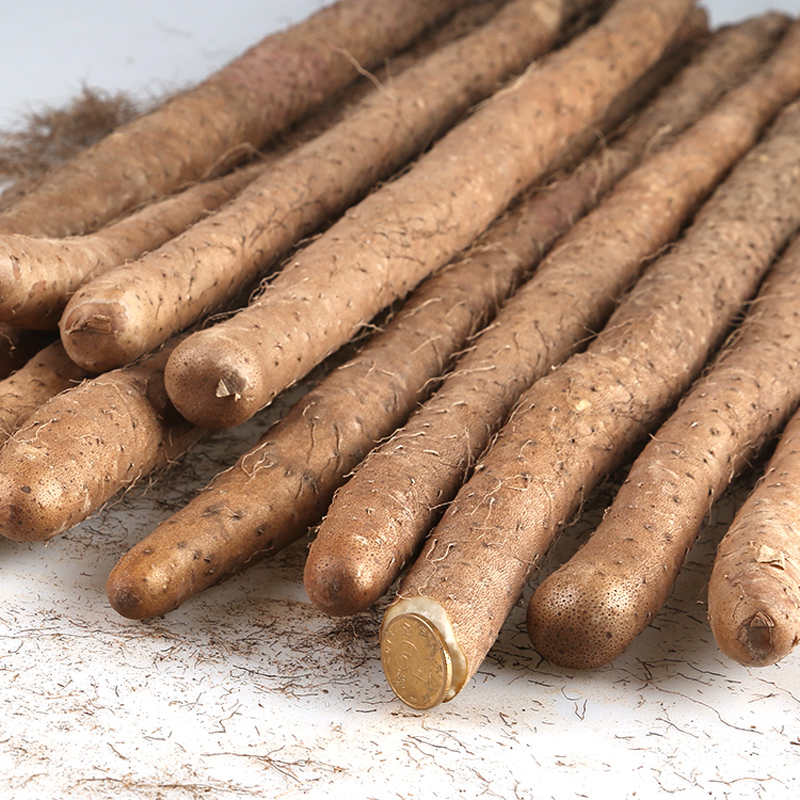 小秋家园 山东特产农家种植正宗陈集铁棍山药 2020新鲜蔬菜 火锅食材