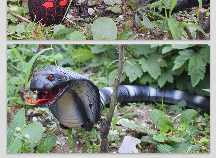 恶搞整蛊逼真蛇整人恐怖玩具假蛇爬行蜈蚣红外遥控电动