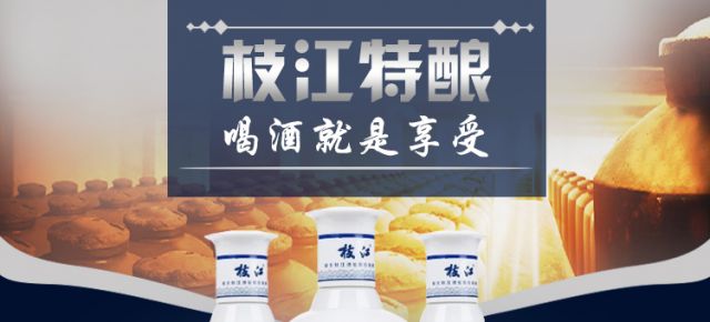 枝江特酿 浓香型粮食酒 青花瓷瓶白酒 480ml 4