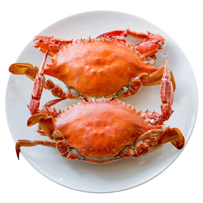 刘清大连海鲜海捕活螃蟹2斤45只鲜活水产东沟野生飞蟹新鲜梭子蟹公的