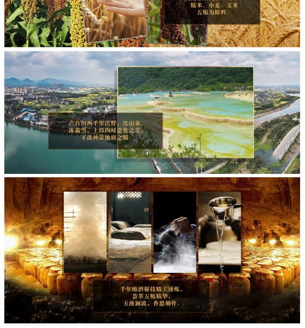 剑南春 52度(新包装)500ML + 52度 普通版 五粮