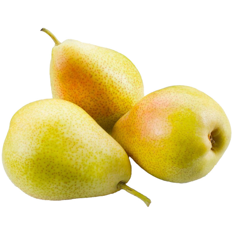 山东特产新鲜水果莱阳丰水梨子5斤4至6个