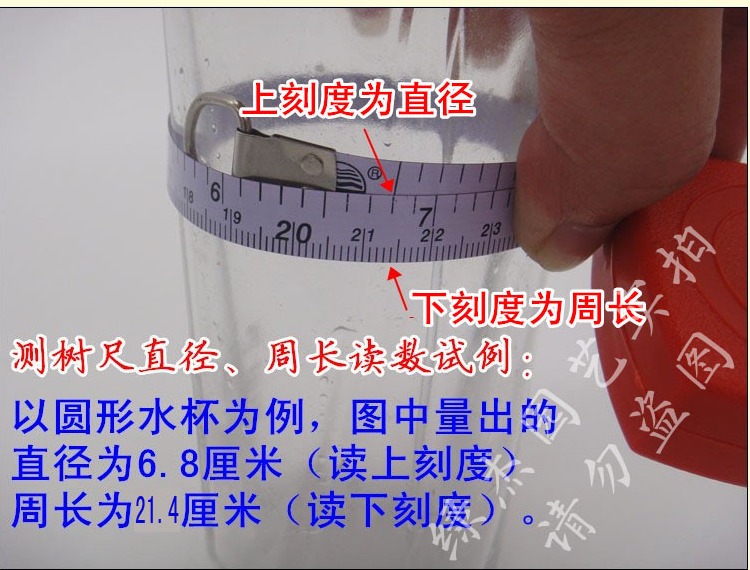 沃绣 彩妮园艺 太平洋新款不锈钢测树钢围尺测树尺直径尺树径卷尺量树