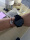 The smart sports monitoring watch is a very good product. It has a beautiful appearance, is comfortable to wear and has a lot of functions. It has at least one week of battery life and can be connected to the mobile phone. Children like it very much.
