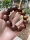 The workmanship of the baby is very fine, the polishing is also in place, the color and texture are beautiful, comfortable to wear, the style of the bracelet is the same as the picture, the beads are smooth and shiny, and I have already started to play.