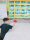 The racket feels good when played. Children and adults can play it. The quality is much better than what I bought in a physical store. The quality is really good. Different colors on both sides can also increase children's interest. There are many balls inside. The quality is also good, fun to play, and the beat is durable?
