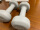 keepColorful plastic dipped dumbbells, solid dumbbells with good looks and practicality, can help tighten muscles, sculpt lines, shape arms, straighten shoulders, plump abdominal muscles, build abdominal muscles, combine dumbbells, and change a variety of movements, all Azimuth shapes the arm muscles, easy to use, hahahaha, good quality, hahaha shoes, very good, express delivery is very fast, hahahaha