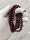 The beads are very beautiful, the workmanship is fine, the size is just right, it is very beautiful to wear, the overall look is good, and the red sandalwood material used is really authentic
