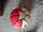 The basketball looks good, the workmanship is fine, the handle is very good, there is no peculiar smell, the color will not fade, and the workmanship is very fine. It is the reason why the picture 3 is packaged, there is a little flaw.