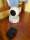 Professional quality, nothing to say about the quality, compact and durable, the white color looks good, the home effect is very good, the picture quality is clear and can be adjusted, the remote control effect is very good, the sound quality of the video conversation is also good, sometimes it lags when the network is not good , overall very good
