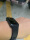 I really like Huawei's wristbands, so I bought one at a special price. Sensitivity: Very sensitive, it will be displayed when you turn your wrist. Accuracy: High accuracy, accurate time. Ease of operation: Simple, matching is automatically found, and it can be connected in one click. Workmanship Quality: Fine, comfortable to wear, Appearance: Exquisite, concise and clear. Other features: The functions with Apple are getting more and more perfect, and it can read access control cards, which is convenient.