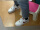 I snatched this shoe at 8:00 p.m. before Double Eleven. It is very beautiful and comfortable. My child said that he likes this style of shoes! Jingdong’s logistics is very good, and the goods arrived quickly. I like shopping on Jingdong. !