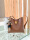 The quality of the bag is very good, the capacity is appropriate, the overall workmanship and wiring are very neat, it is especially good to match clothes, the texture is super good, the style is simple and fashionable, the size is exactly what I want, the color is versatile, the seller logistics It is also quite fast and affordable, durable and good-looking, the design is my favorite, affordable, high-value, very age-reducing, really affordable This bag, the first time I bought such an affordable and beautiful bag , just don't be too happy haha
