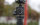 Affordable, super cost-effective. Aluminum alloy tripod. It supports reverse carrying and is very light. Plus my 5DS, with 24-70, there is basically no pressure. Good things are really good things. I will take them with me when I travel. it's gone.