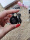 This small pendant recorder is a small and mini version, which is good and convenient to carry out. You can’t tell that it can be recorded when you hold it in your hand. This is very easy to operate, and it can be saved with one button. The recorded sound quality is clear and will be sent separately. I like the small pendant very much, it is beautiful and delicate.
