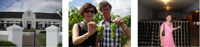 惠灵顿酒庄Wellington Vineyards