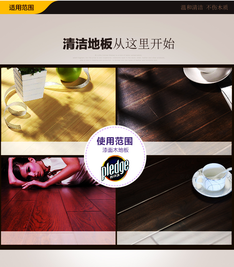 【京东超市】碧丽珠 木地板 清洁剂 500g 地板