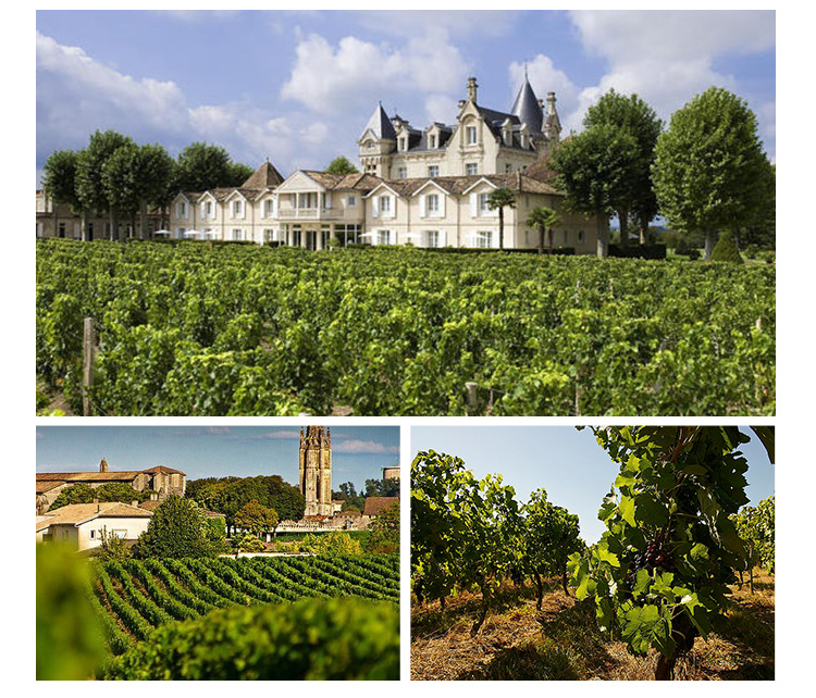 京东海外直采 法国进口红酒 圣爱美隆产区 金钟古堡副牌干红葡萄酒