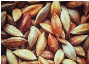 什么是霹雳果 - 京东