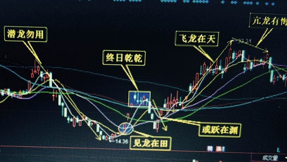 专访京东股票牛人王志涛 如何狙击涨停股 - 金