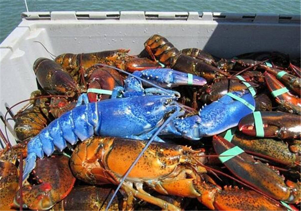 拍下生命中的意想不到这些神器你准备好了吗