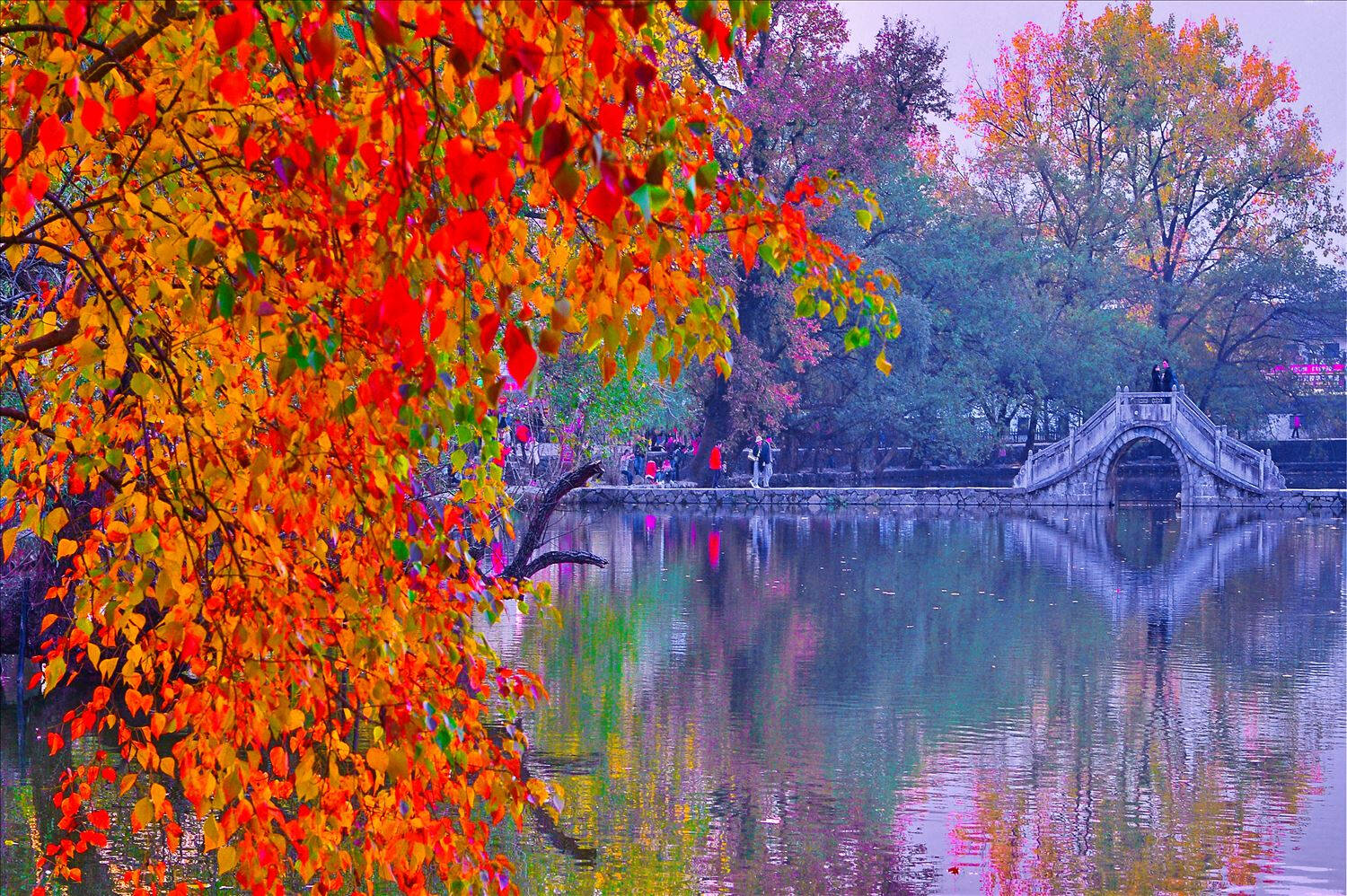 下江南,怎能错过秋色中的宏村