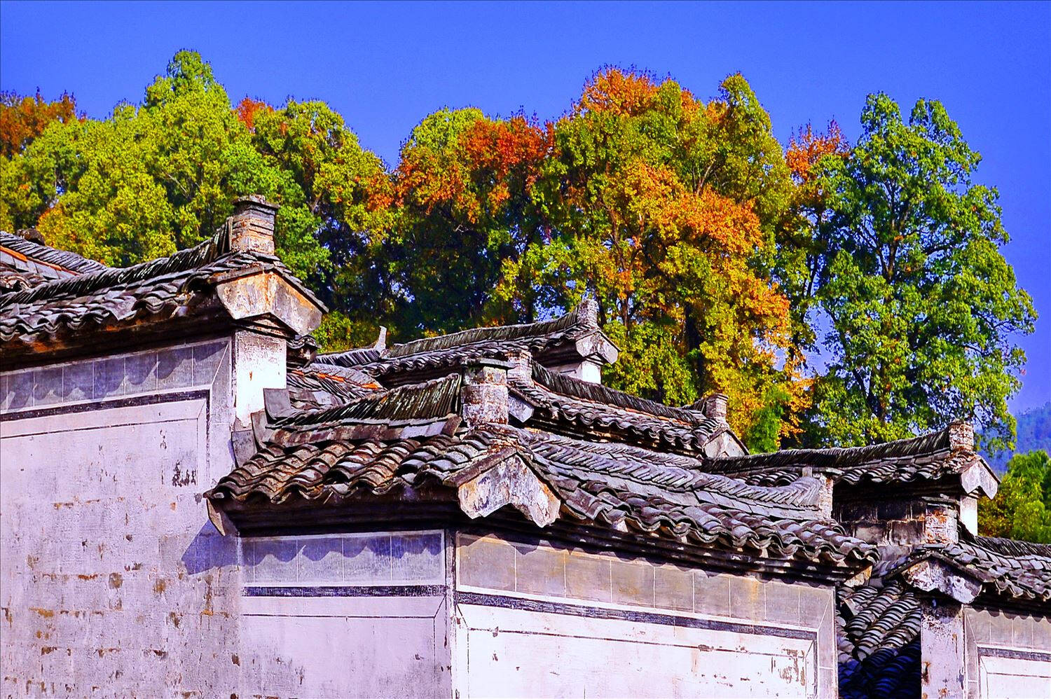 下江南,怎能错过秋色中的宏村