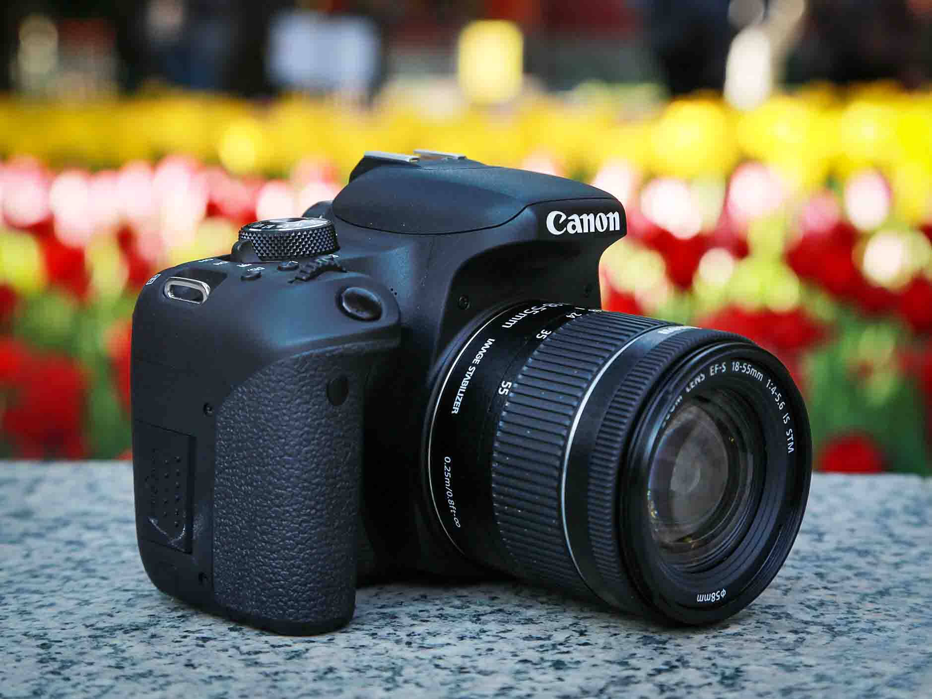 为初级用户量身打造,入门单反佳能eos 800d评测