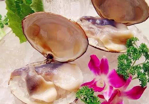 别再被欺骗了,北极贝可不是来自北极哦!