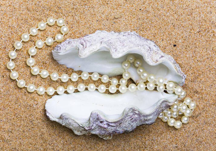 佩戴珍珠你会区分淡水珍珠与海水珍珠吗