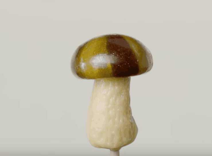 没想到你是这样的棒棒糖!太污啦!