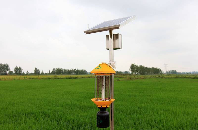 用太阳能驱虫的庭院灯,已经风靡全球