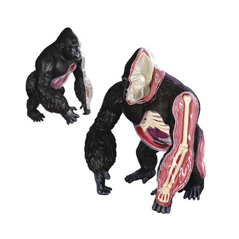 骨骼清奇的最后都成了模型