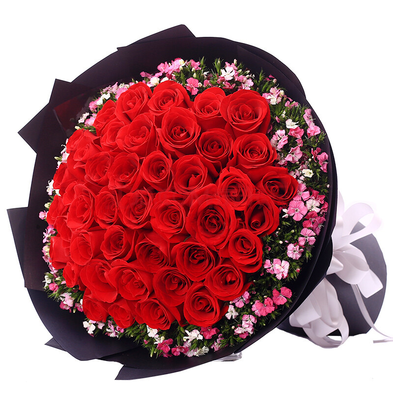 鲜得利 鲜花速递全国同城配送11朵33朵99朵香槟玫瑰满天星康乃馨礼盒