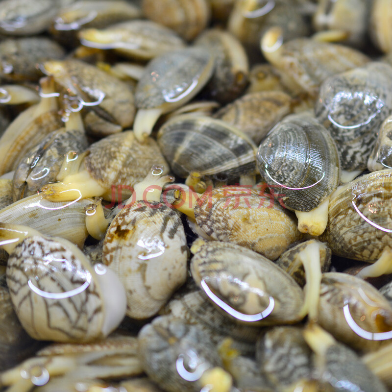 良知农哥顺丰花甲新鲜冷冻蛤蜊大花蛤蜊贝类海鲜15kg