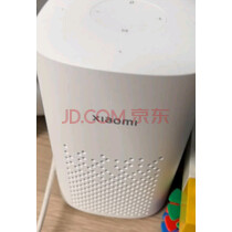 小米小爱音箱Play 小爱同学 AIoT语音控制 蓝牙Mesh网关 智能音箱音响 小爱音响 家用 实拍图