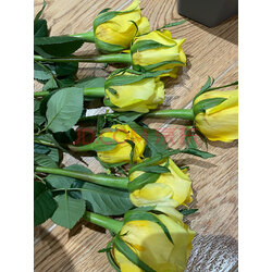 京东鲜花 昆明宜良雪山玫瑰16枝 4枝防损耗颜色随机定制 实拍图