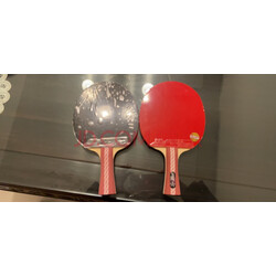 红双喜(dhs)四星级乒乓球拍横拍对拍 经典四星级4002套装 乒乓球10个