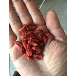 百瑞源 宁夏枸杞 特优级中宁枸杞子 黑枸杞伴侣 免洗枸纪头茬苟杞子