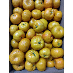 甜桔子砂糖桔 早熟沙糖桔新鲜当季应季时令水果橘子整箱柑橘 9斤精选