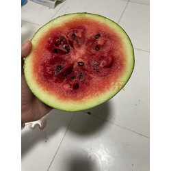 黑美人西瓜 甜脆多汁 新鲜时令水果 1-2个装 约8-10斤 实拍图