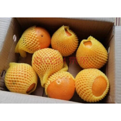 进口榨汁夏橙3斤装 橙子 单果重180-230g 生鲜水果 厂家直发包邮 实拍