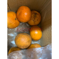 最武夷 顺昌高山芦柑椪柑橘子桔子蜜桔一级大果盒装5斤10斤福建特产